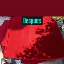 Sillón limpio tras servicio de Rapidito Express